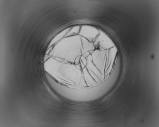 X0000115731225200912241619