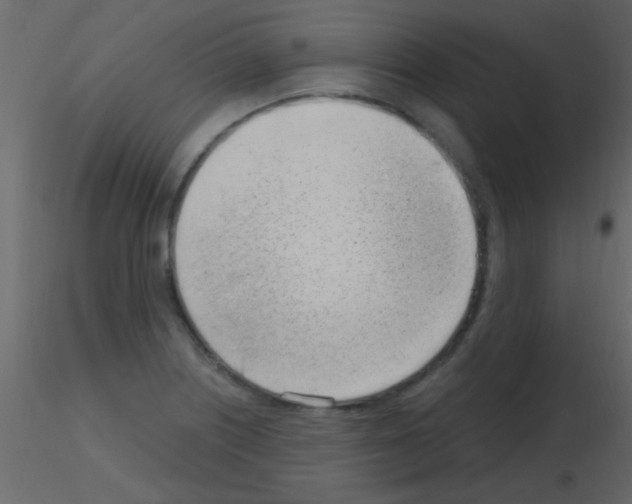 X0000115731226200912241619