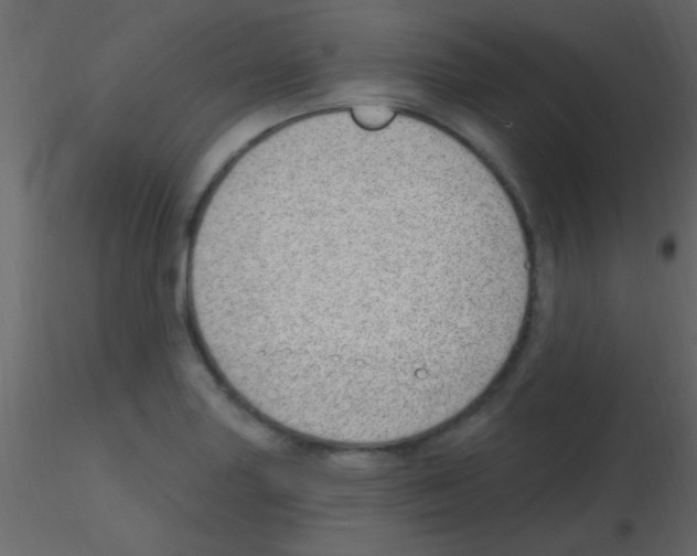 X0000115731227200912241619