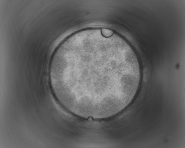 X0000115731229200912241619