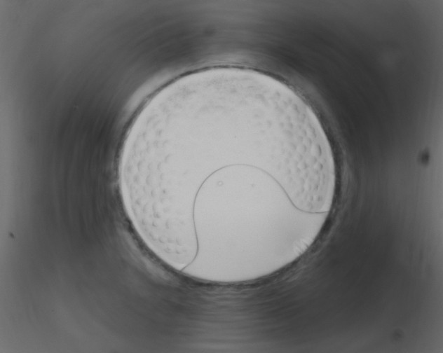X0000115731230200912241619