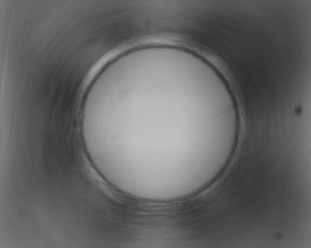 X0000115731232200912241619