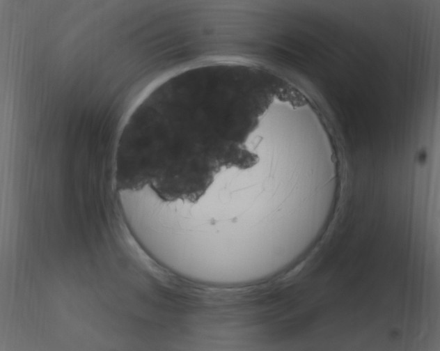 X0000115731236200912241619