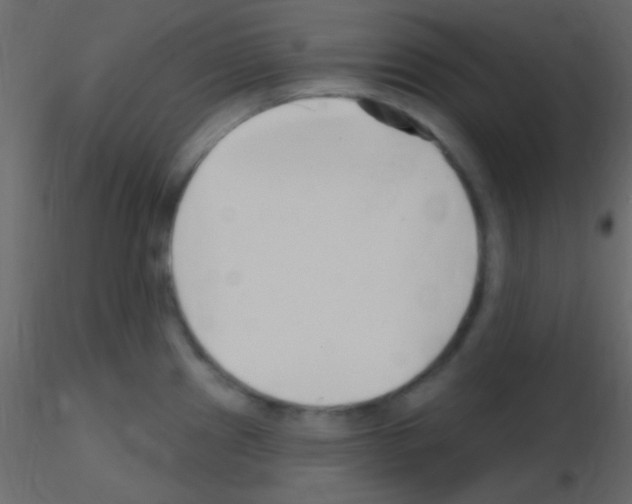 X0000115731241200912241619