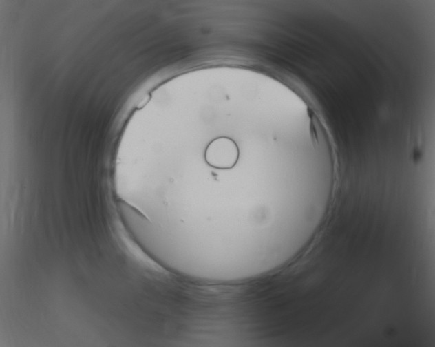 X0000115731243200912241619