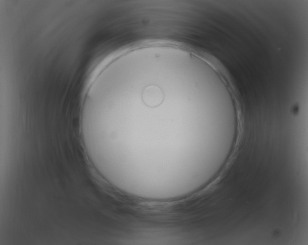 X0000115731244200912241619