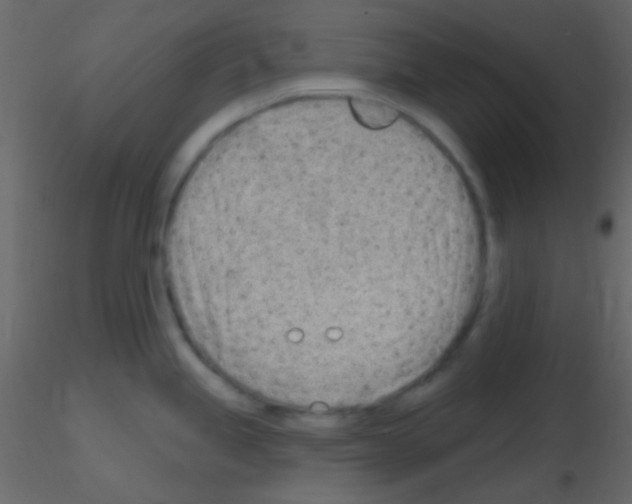 X0000115731245200912241619