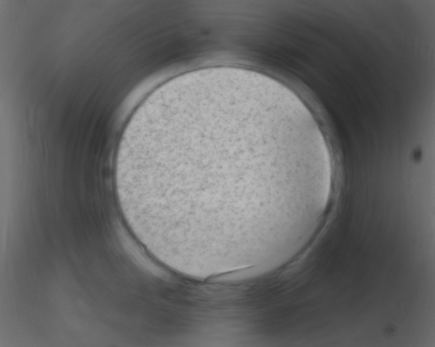 X0000115731246200912241619