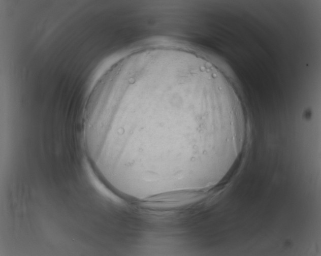 X0000115731247200912241620