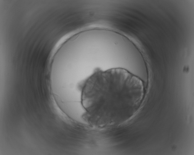 X0000115731248200912241620