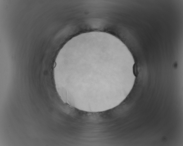 X0000115731249200912241619