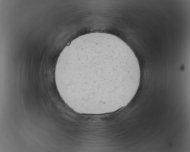 X0000115731250200912241619