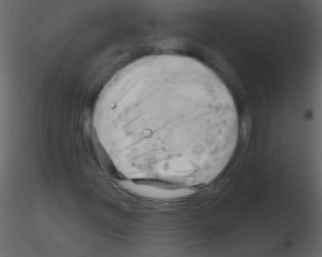 X0000115731251200912241619