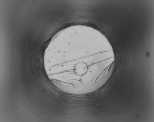 X0000115731252200912241619