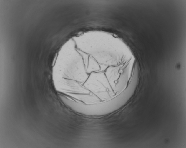 X0000115731253200912241619