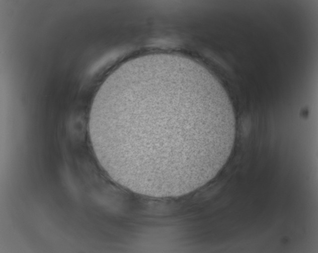 X0000115731254200912241619