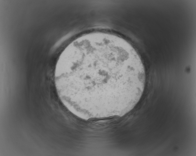 X0000115731255200912241619