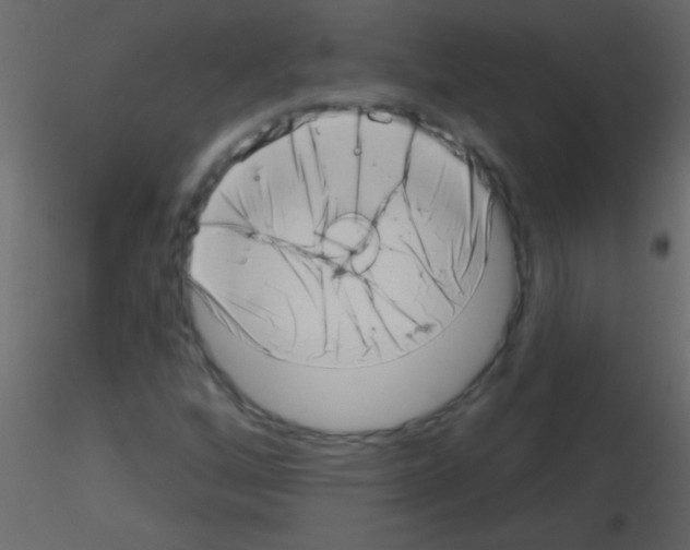 X0000115731256200912241619