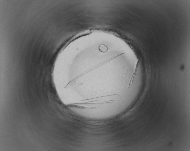 X0000115731257200912241619