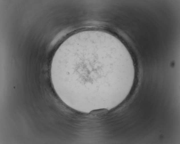 X0000115731259200912241619