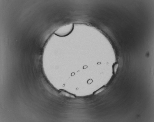 X0000115731260200912241619