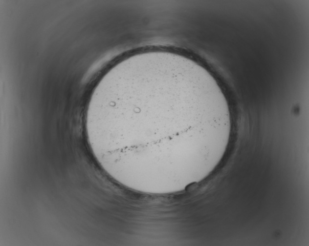 X0000115731262200912241619