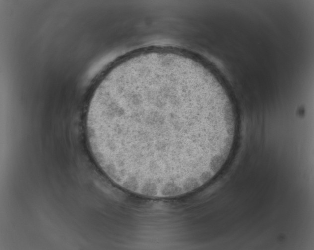 X0000115731263200912241619