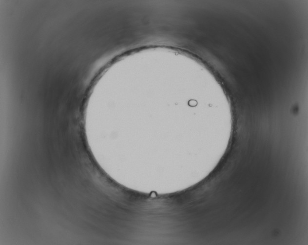 X0000115731264200912241619