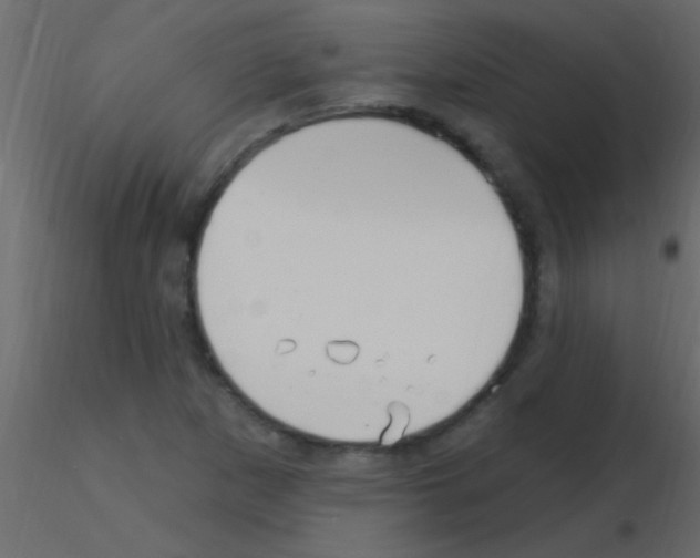 X0000115731265200912241619