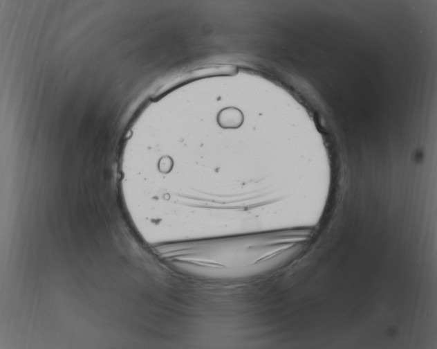 X0000115731268200912241619