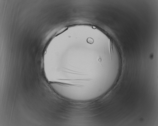 X0000115731269200912241619