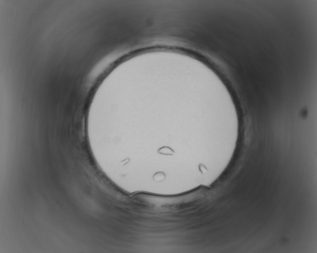 X0000115731271200912241619