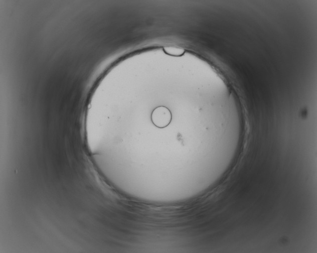 X0000115731272200912241619