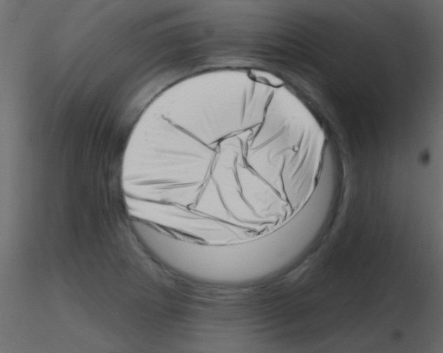 X0000115731273200912241619