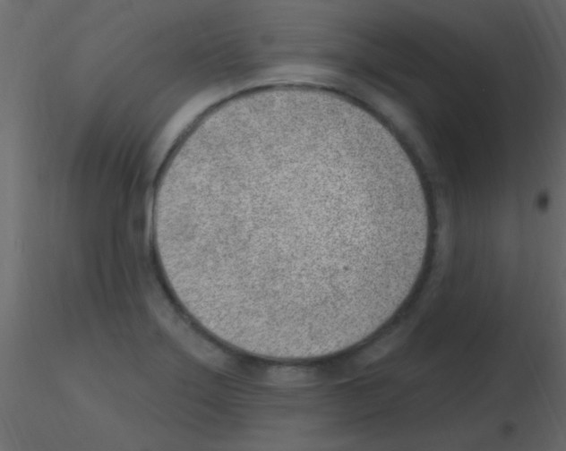 X0000115731275200912241619