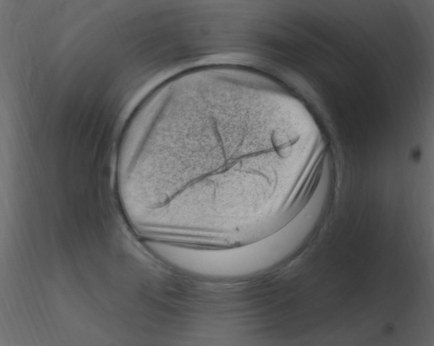 X0000115731276200912241619