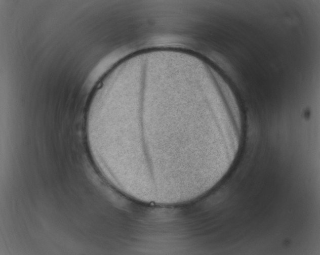 X0000115731277200912241618