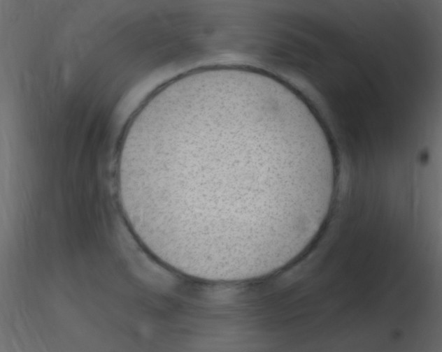 X0000115731278200912241618