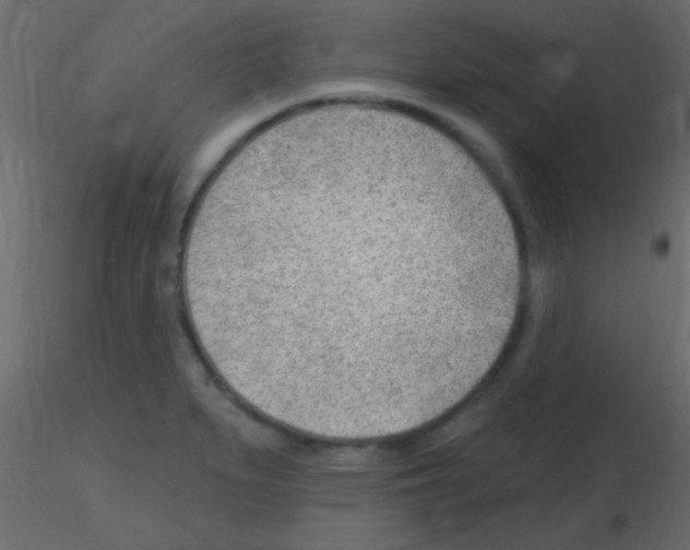 X0000115731279200912241618