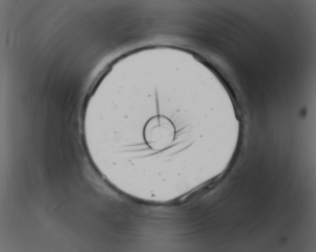 X0000115731280200912241618