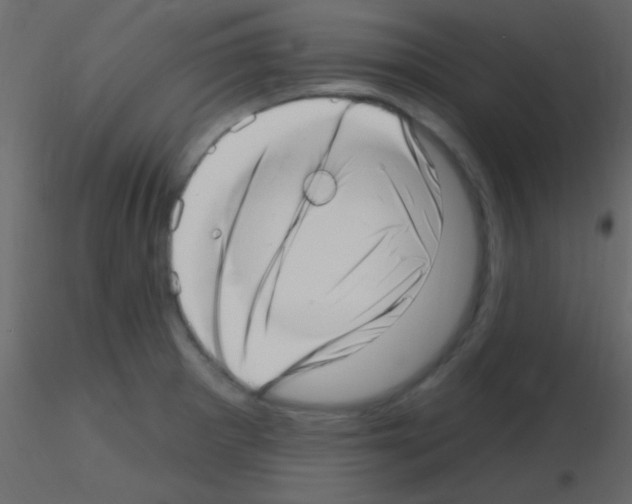 X0000115731281200912241618