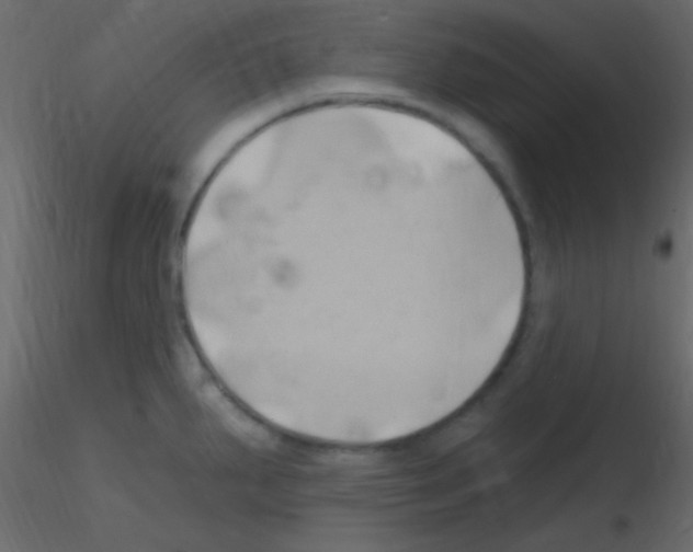 X0000115731287200912241618