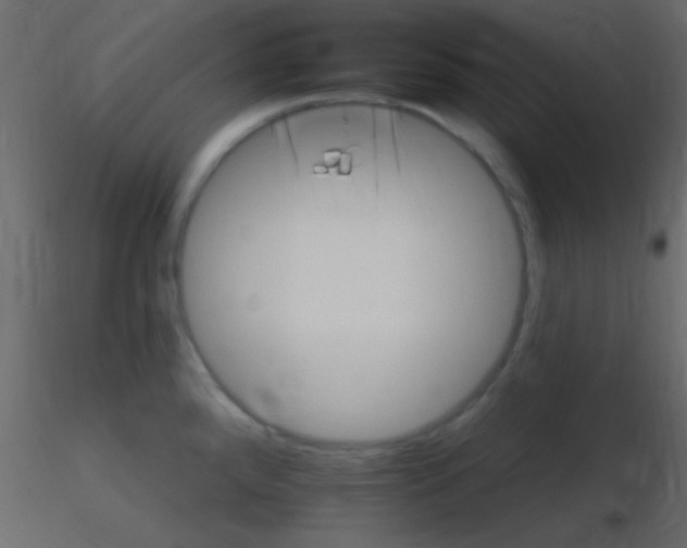 X0000115731288200912241618
