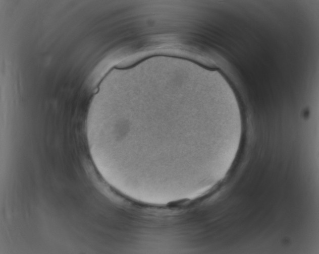 X0000115731289200912241618