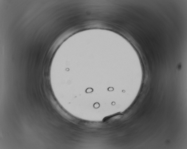 X0000115731293200912241618
