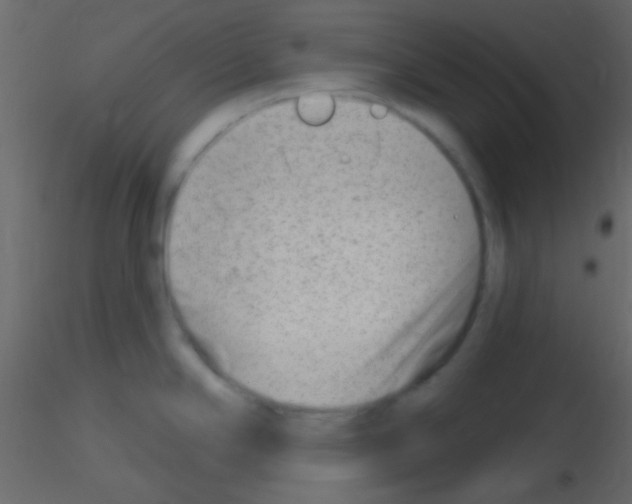 X0000115731294200912241618