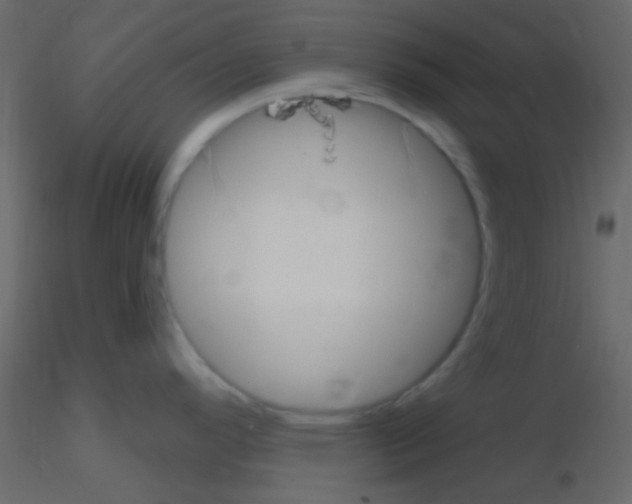X0000115731296200912241618