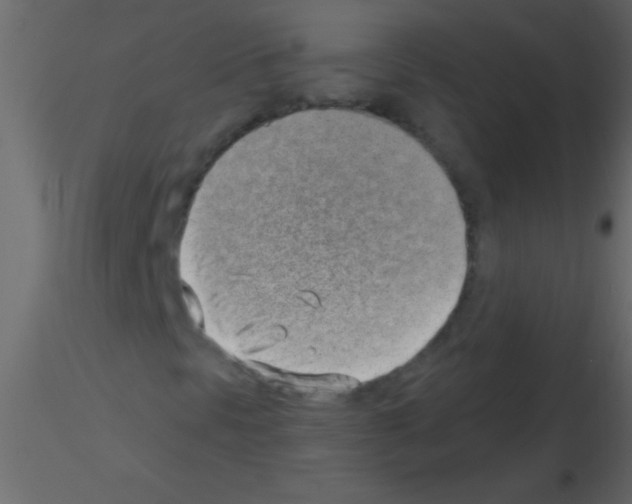 X0000115731297200912241618