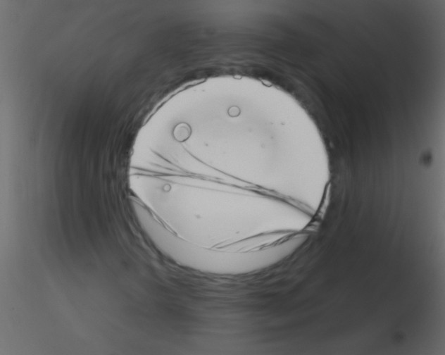 X0000115731298200912241618