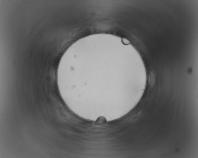 X0000115731299200912241618